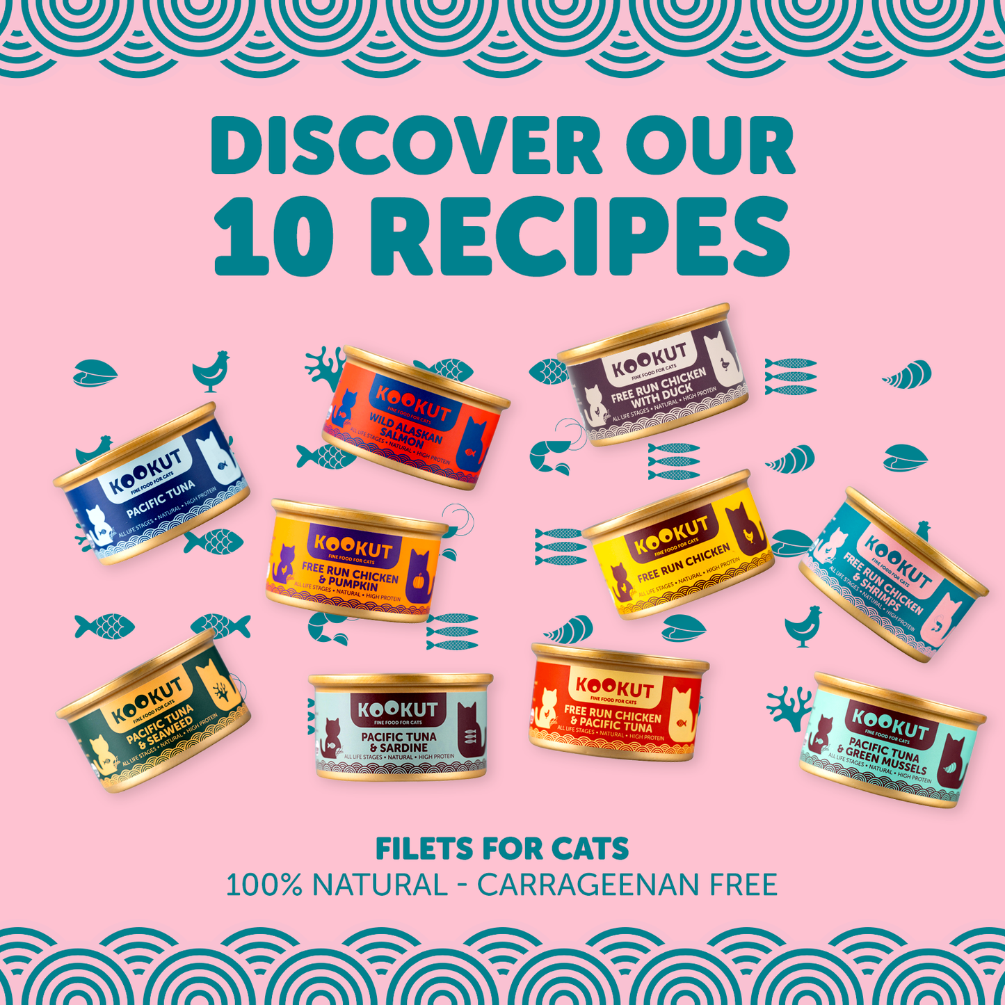 Kookut wet food discovery set