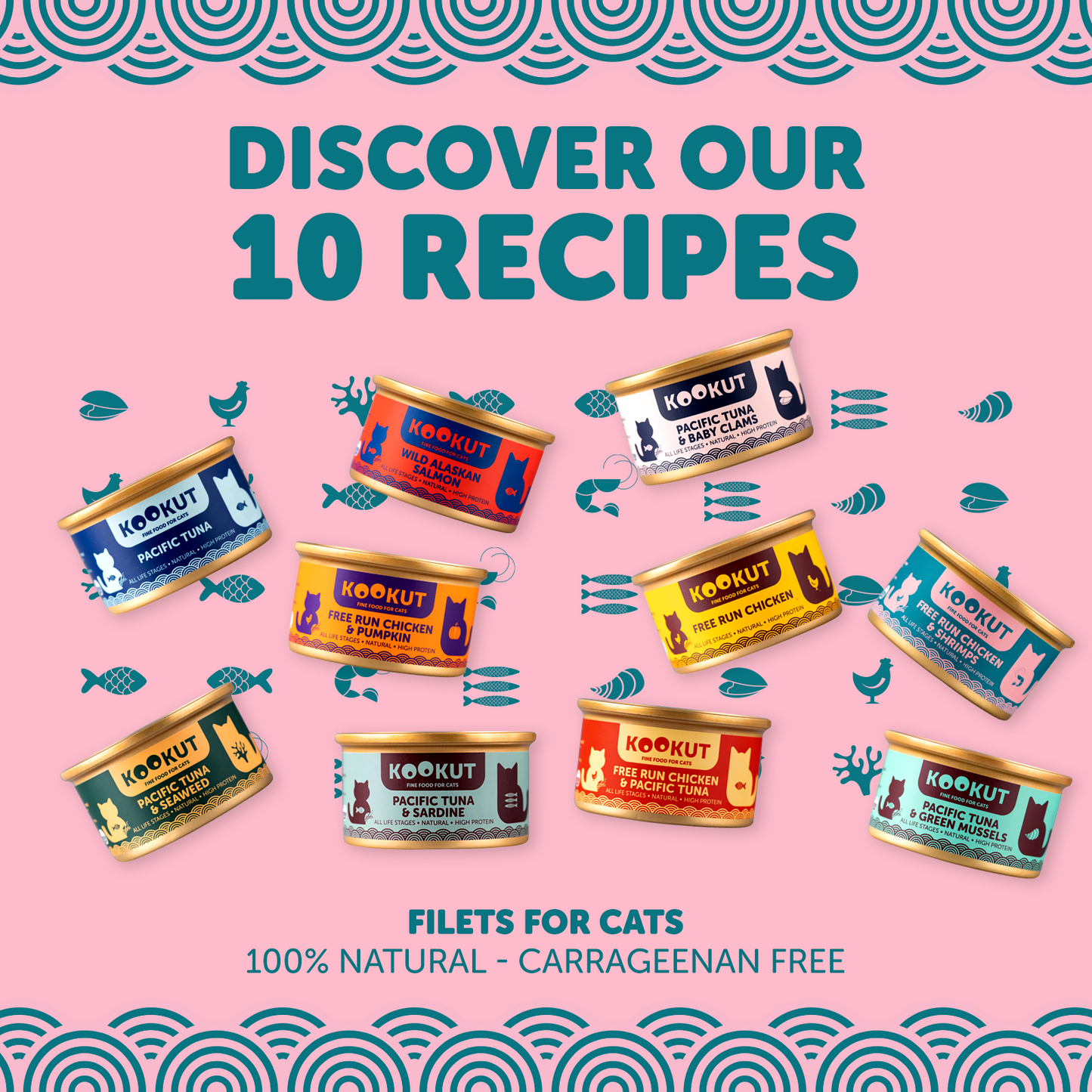 Kit de découverte des recettes humides Kookut