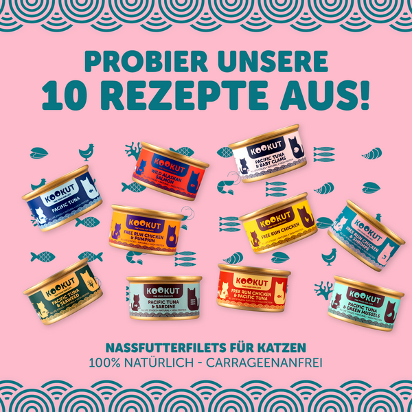 Probierset Nassfutter für Katzen