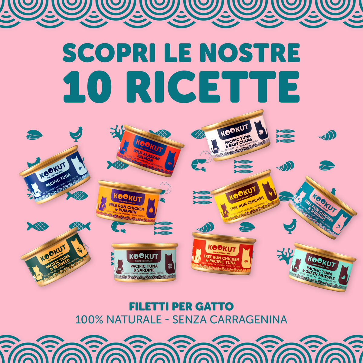 Set di prova cibo umido per gatti