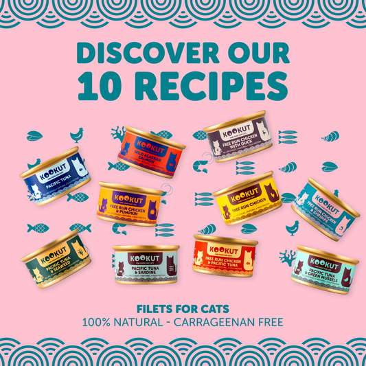Kookut wet food discovery set