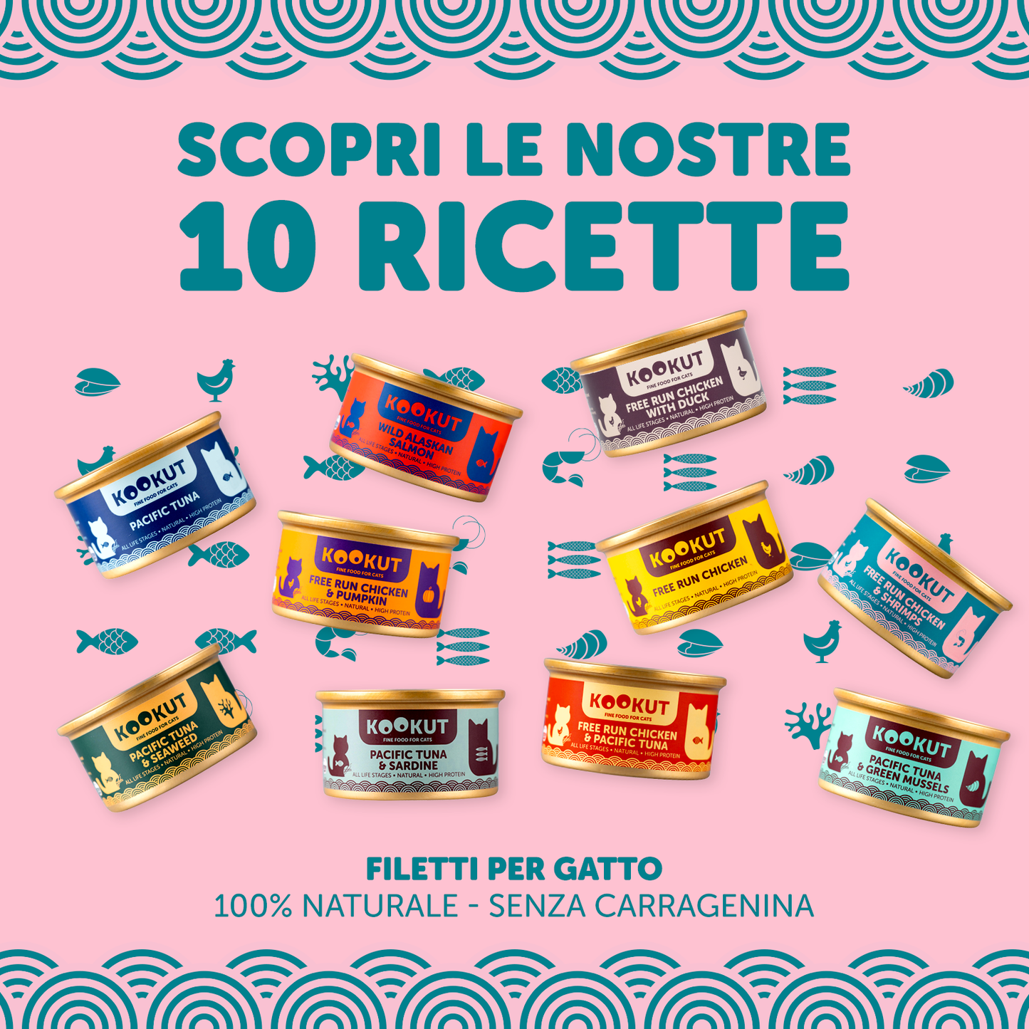 Kit de découverte des recettes humides Kookut