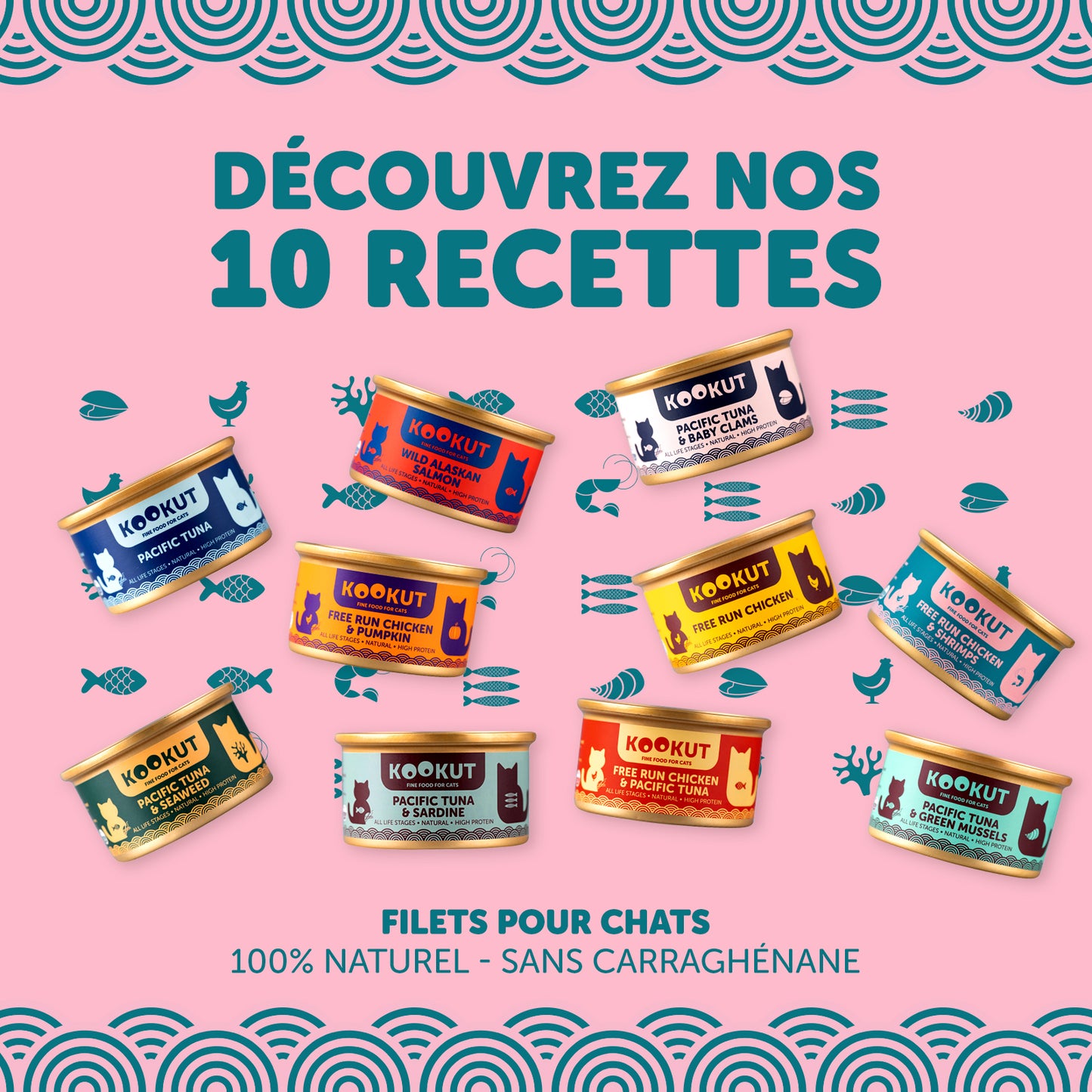 Kit de découverte des recettes humides Kookut
