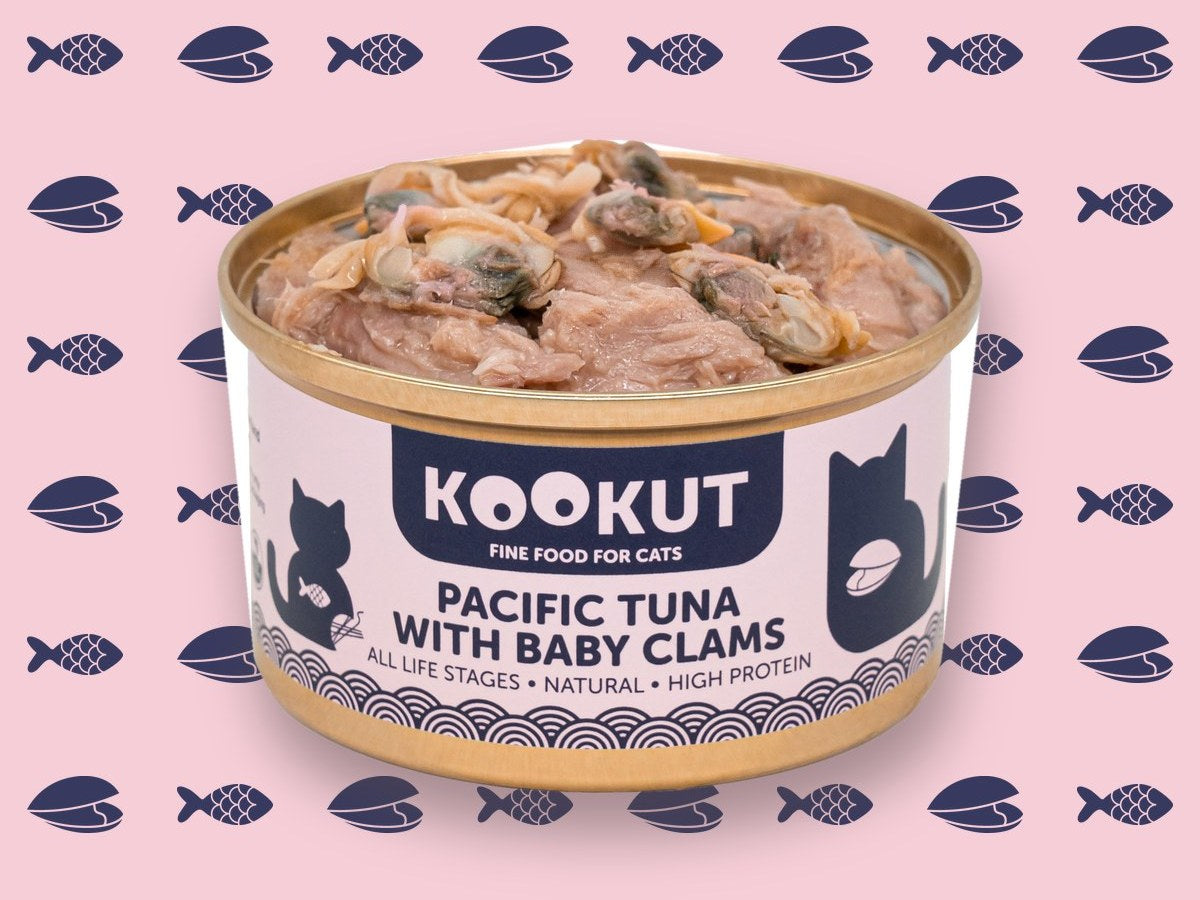Opened tin of Pacific Tuna with Baby Clams: tuna fillet and baby clams