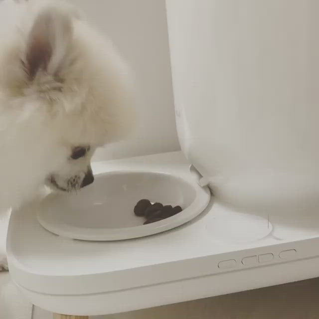 Crocchette Pollo & Anatra per cani