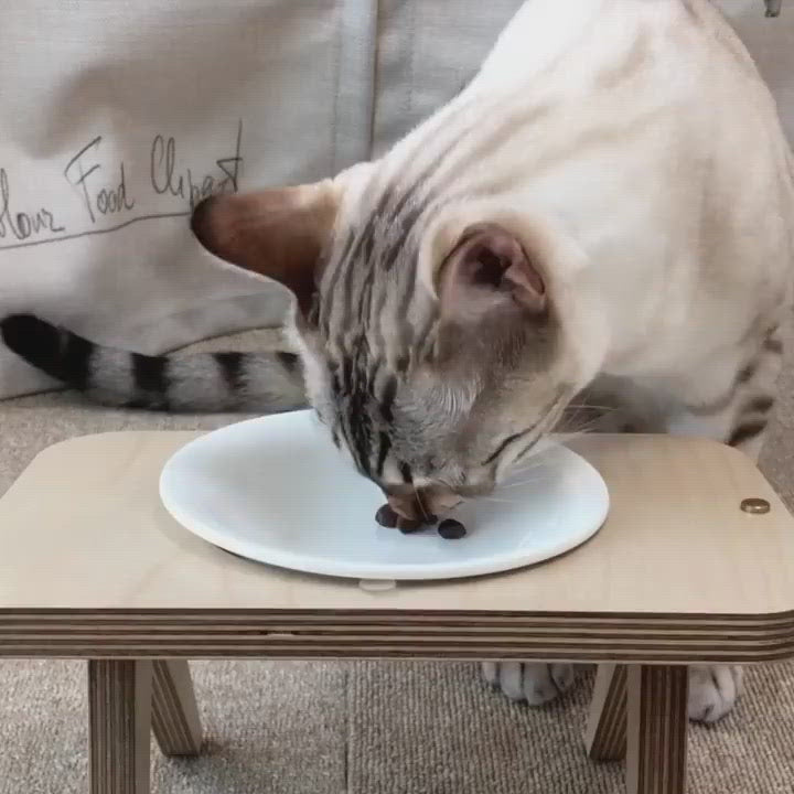 Trockenfutter Huhn & Ente für Katzen